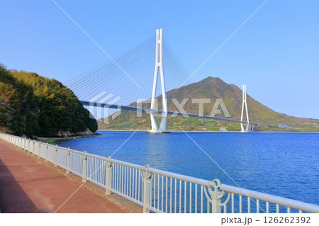 【広島県】春の道の駅多々羅しまなみ公園から見た（多々羅大橋） 126262392