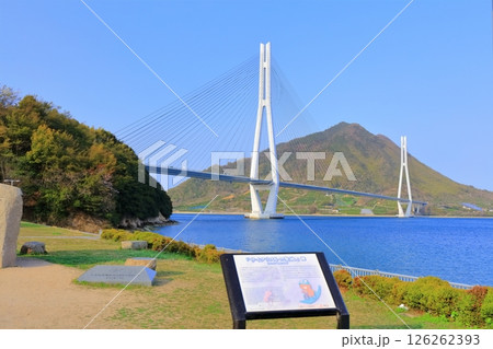 【広島県】春の道の駅多々羅しまなみ公園から見た(多々羅大橋) 【広島県】春の道の駅多々羅しまなみ公園から見た(多々羅大橋) 126262393