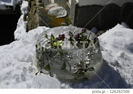 雪祭り 126262500