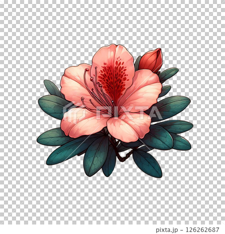 春に咲く笑顔 126262687