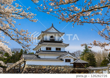 【宮城県_白石城】漆喰と桜のコントラストが素晴らしい白石城 【宮城県_白石城】漆喰と桜のコントラストが素晴らしい白石城 126262726