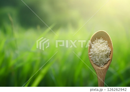 Wooden spoon holding rice grains with green background 126262942