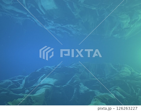 Uozu Buried Forest in Toyama Prefecture, where a cedar forest from about 2,000 years ago was buried due to river flooding and rising sea levels, designated as a Special Natural Monument of Japan. 126263227