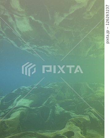 Uozu Buried Forest in Toyama Prefecture, where a cedar forest from about 2,000 years ago was buried due to river flooding and rising sea levels, designated as a Special Natural Monument of Japan. 126263237