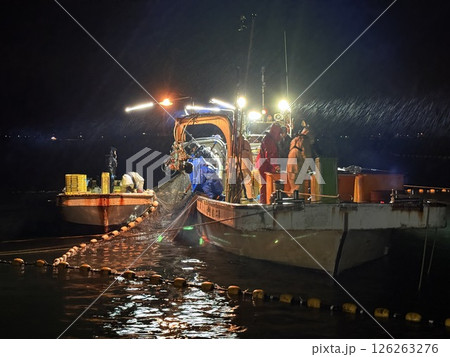 Firefly squid fishing is famous in Namerikawa, Toyama Prefecture, Japan. The large schools of blue lights are a special natural monument. 126263276