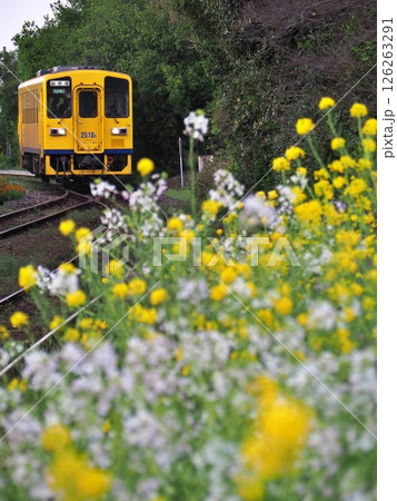 春の小花に迎えられる列車 春の小花に迎えられる列車 126263291
