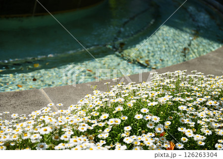 広島 快晴の原爆ドーム(噴水) 広島 快晴の原爆ドーム(噴水) 126263304