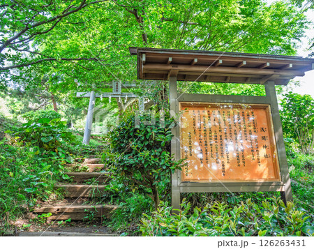 吾妻山公園内にある浅間神社入口の階段と鳥居（神奈川県二宮町） 126263431