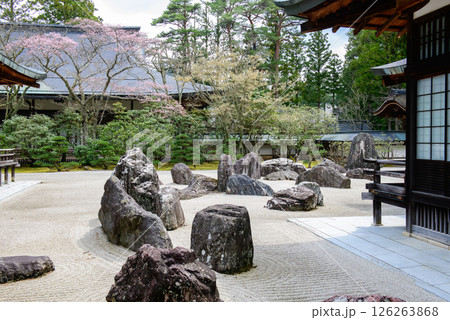 金剛峯寺　蟠龍庭と奥殿、新別殿　高野山　和歌山県 126263868