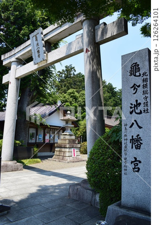 亀が池八幡宮の正面鳥居 126264101