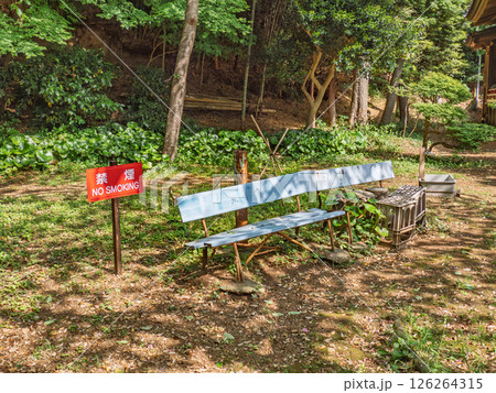神社の境内に置かれたベンチと「禁煙」の注意書き 126264315