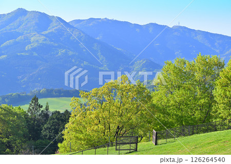 秩父高原牧場から清々しい新緑の眺め 東秩父村 秩父高原牧場から清々しい新緑の眺め 東秩父村 126264540