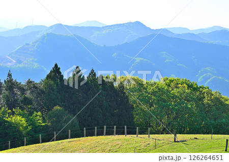 秩父高原牧場から新緑の眺め 東秩父村 秩父高原牧場から新緑の眺め 東秩父村 126264651