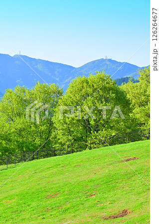 秩父高原牧場から清々しい新緑の眺め 東秩父村 秩父高原牧場から清々しい新緑の眺め 東秩父村 126264677