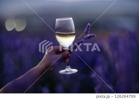 Glass white wine lavender field. Woman hand holds a glass with lavander and wine in the Lavender field at sunset Violet flowers on the background.. Conscious consumption. Wellness and natural concept 126264709