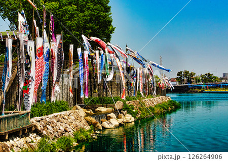 端午の節句には運河の畔を元気に鯉のぼりが泳ぎます 126264906