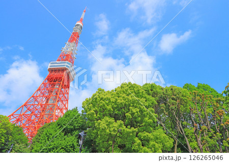 東京都港区、東京タワーと新緑の風景 126265046
