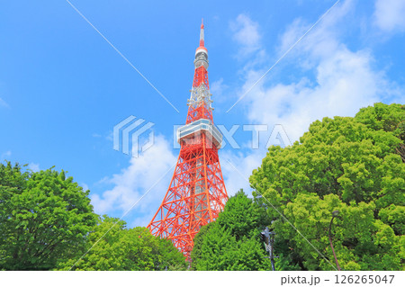 東京都港区、東京タワーと新緑の風景 126265047