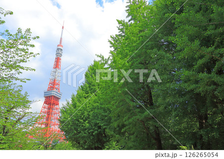 東京都港区、東京タワーと新緑の風景 東京都港区、東京タワーと新緑の風景 126265054