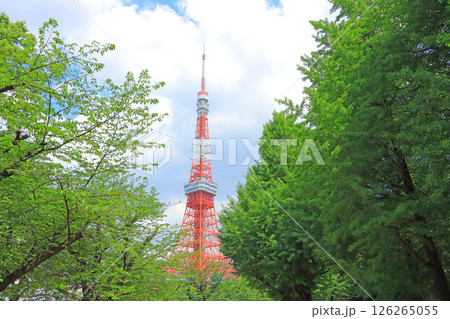 東京都港区、東京タワーと新緑の風景 東京都港区、東京タワーと新緑の風景 126265055