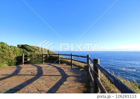 神奈川県・三浦市・城ヶ島公園 神奈川県・三浦市・城ヶ島公園 126265113