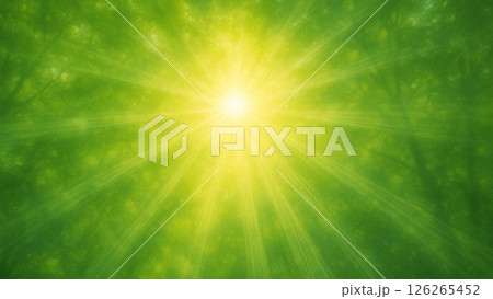 木漏れ日が差し込む緑の空間 126265452