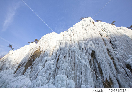 Iceberg's icicles frozen white 126265584