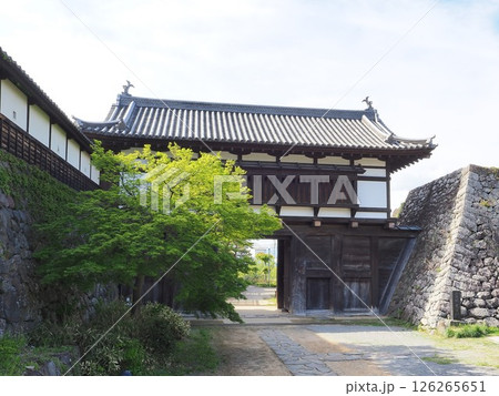長野県　小諸城址　大手門　5月 126265651