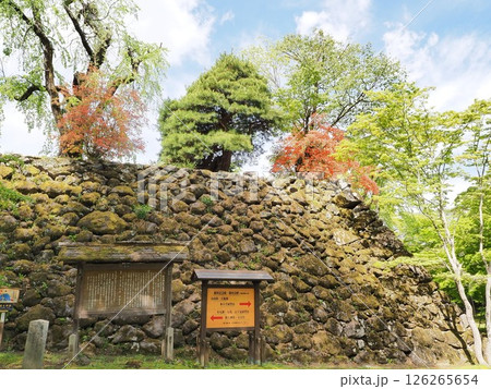 長野県　小諸城址の石垣　5月 126265654