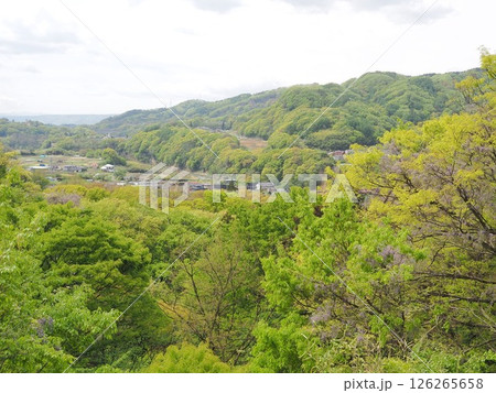 長野県　懐古園　展望台からの景観　5月 126265658