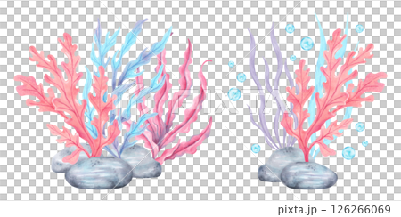 Seaweed with stones and bubbles. Watercolor composition illustration. Marine art of underwater plants. Ocean fauna. Hand drawn isolated art. For marine theme, cards, children's projects, tourism. 126266069
