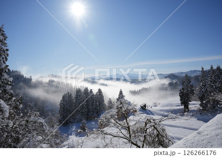 241230十日町市蒲生の棚田 126266176