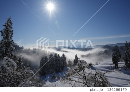241230十日町市蒲生の棚田 241230十日町市蒲生の棚田 126266179