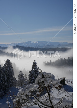 241230十日町市蒲生の棚田 126266183