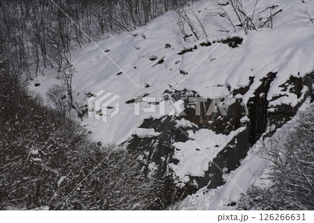 250105秋山郷切明 126266631