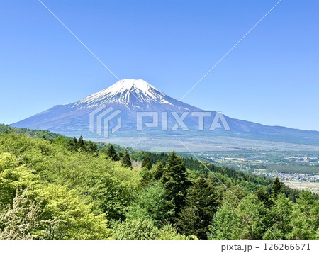 新緑の山から見る富士山 126266671