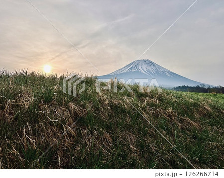 春色に変わる大地と富士山 126266714