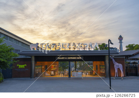 夕日に染まる天王寺動物園てんしばゲート 夕日に染まる天王寺動物園てんしばゲート 126266725