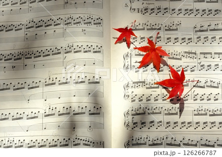 楽譜と秋のイメージ素材 126266787