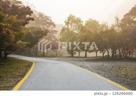 A beautiful autumn road with red leaves A beautiful autumn road with red leaves 126266880
