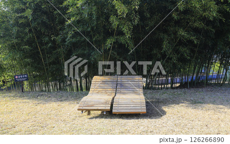 Winter landscape of a blue bamboo forest. Winter landscape of a blue bamboo forest. 126266890