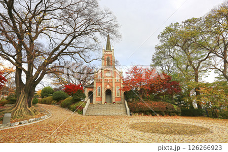 Autumn scenery of a Korean cathedral with a long history Autumn scenery of a Korean cathedral with a long history 126266923