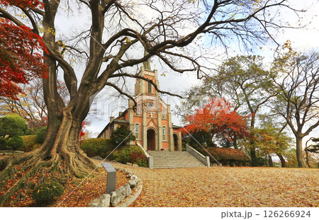 Autumn scenery of a Korean cathedral with a long history Autumn scenery of a Korean cathedral with a long history 126266924