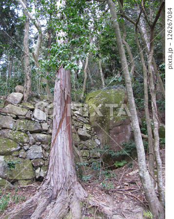 滋賀県:石垣がある観音正寺の参道【観音寺城跡・日本100名城】近江八幡市安土町 滋賀県:石垣がある観音正寺の参道【観音寺城跡・日本100名城】近江八幡市安土町 126267084