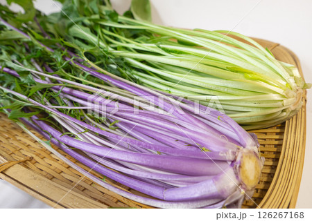 ザルにのった新鮮な紫色の水菜と壬生菜の根元部分の違いを表す写真 126267168
