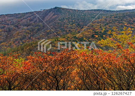 安達太良山奥岳温泉登山口付近の紅葉の山並み 安達太良山奥岳温泉登山口付近の紅葉の山並み 126267427