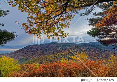 安達太良山奥岳温泉登山口付近の紅葉の山並み 126267429