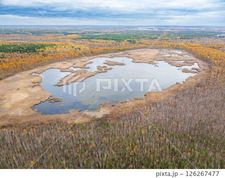 Aerial view of lake or river green shore with forest. Summer season. Aerial view of lake or river green shore with forest. Summer season. 126267477