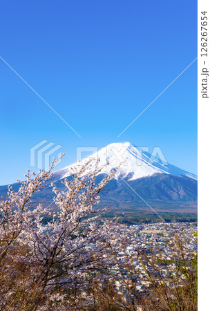 山梨県富士吉田市 春の新倉山浅間公園から見た風景 山梨県富士吉田市 春の新倉山浅間公園から見た風景 126267654