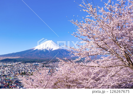 山梨県富士吉田市　春の新倉山浅間公園から見た風景 126267675